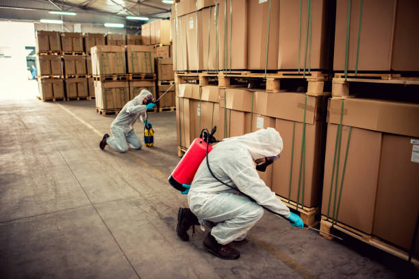 Best Pest Control Near Me  in Louisville, TN