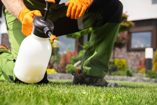 Best Wasp Removal Services  in Louisville, TN