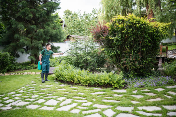 Best Best Pest Control Companies  in Louisville, TN