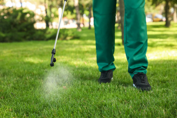Best Affordable Pest Control Services  in Louisville, TN