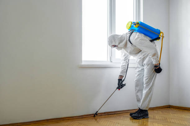 Best Wildlife Control Services  in Louisville, TN