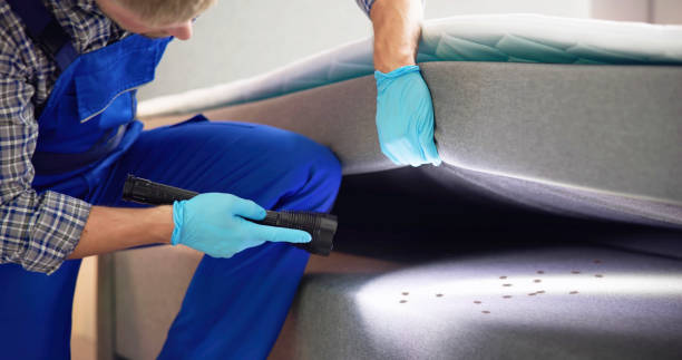 Best Pest Control Treatment  in Louisville, TN