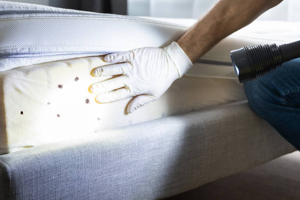 Reliable Louisville, TN Pest Control Solutions