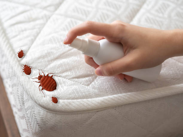 Best Mosquito Control Services  in Louisville, TN