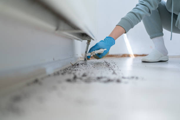 Best Pest Control Near Me in Louisville, TN