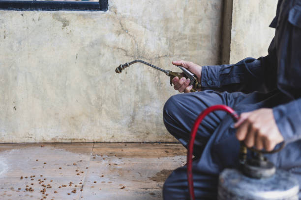 Best Affordable Pest Control Services  in Louisville, TN